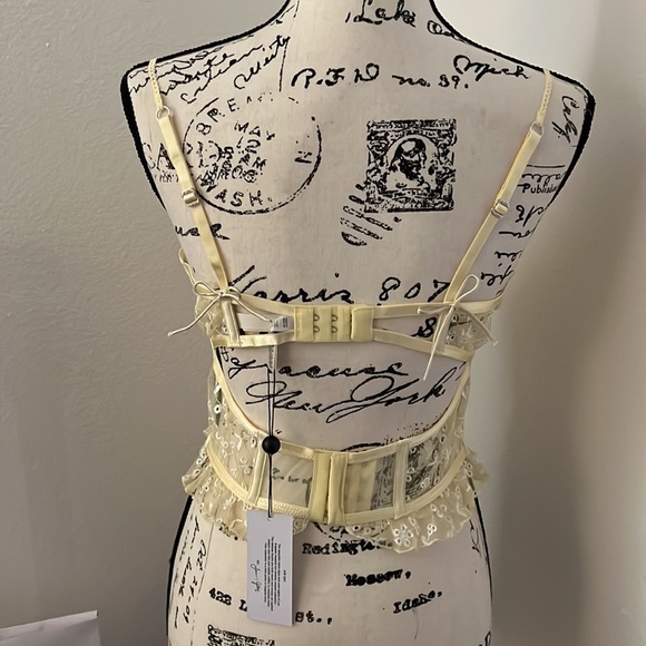 Vintage Eyelet Rose Thong and Bustier set - Picture 10 of 15